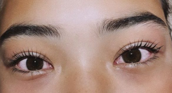 welches Wimpernlaminierungsset ist das beste